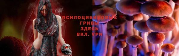 марки nbome Нефтекумск