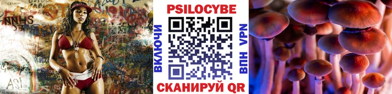 Псилоцибиновые грибы ЛСД купить наркотики цена Темников